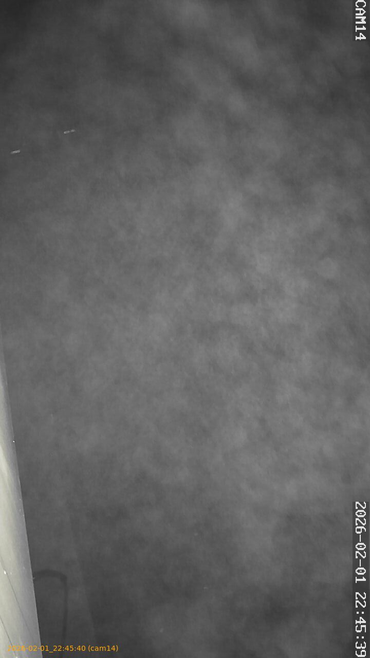 thumbnail_20260201224540