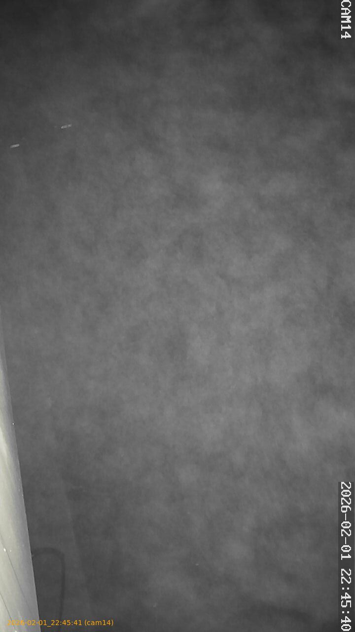 thumbnail_20260201224541