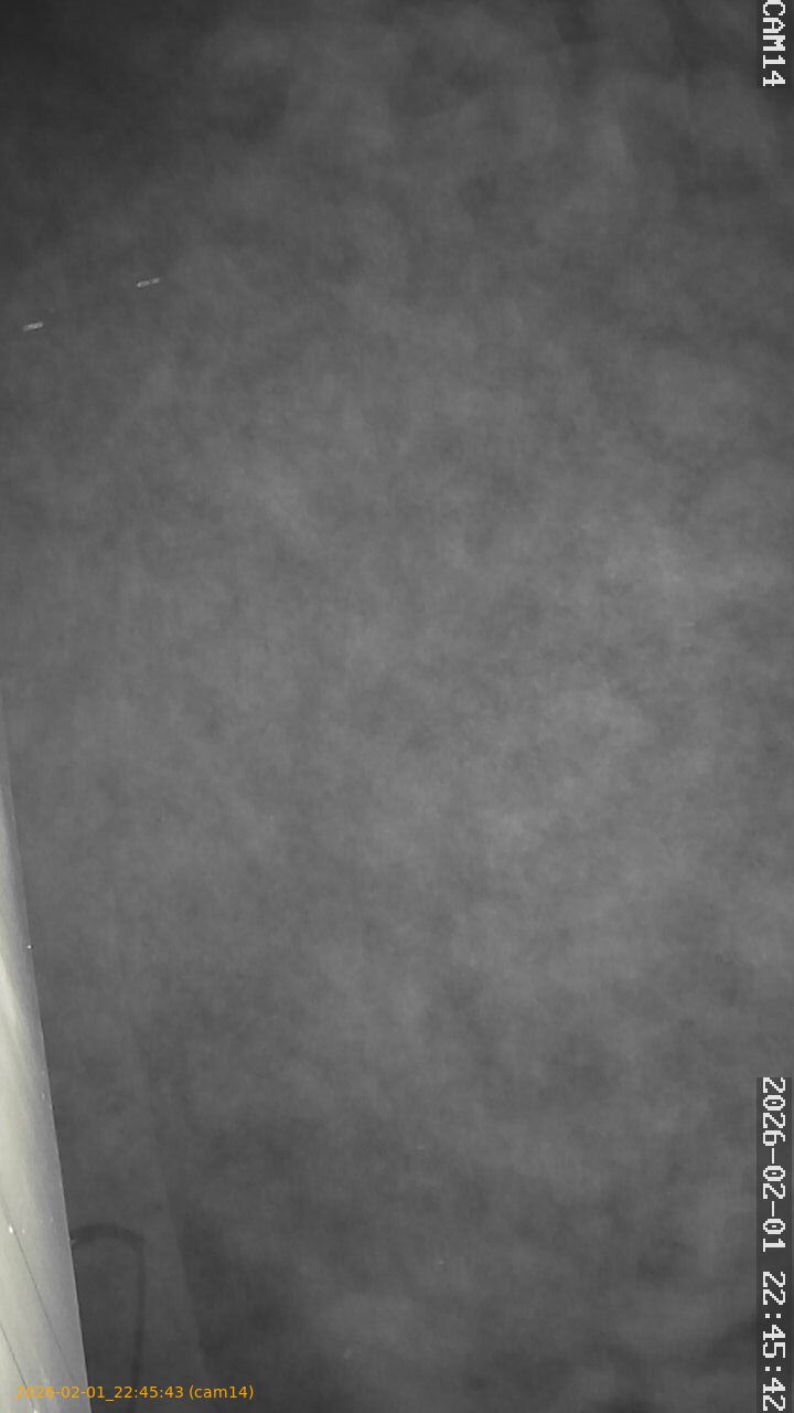 thumbnail_20260201224543