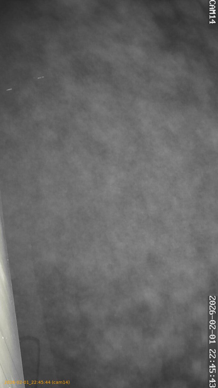 thumbnail_20260201224544