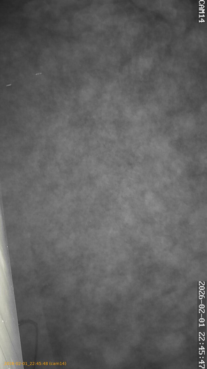 thumbnail_20260201224548