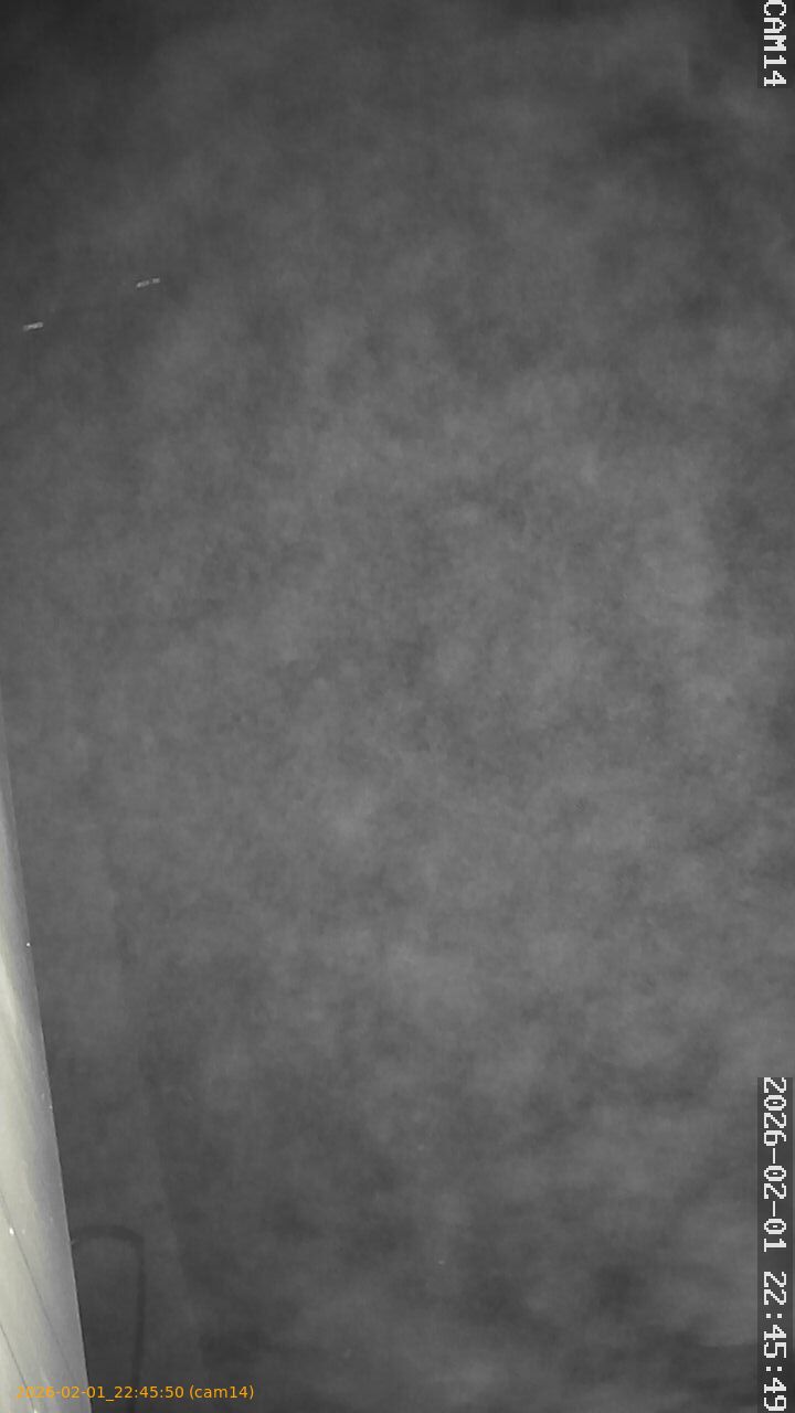 thumbnail_20260201224550