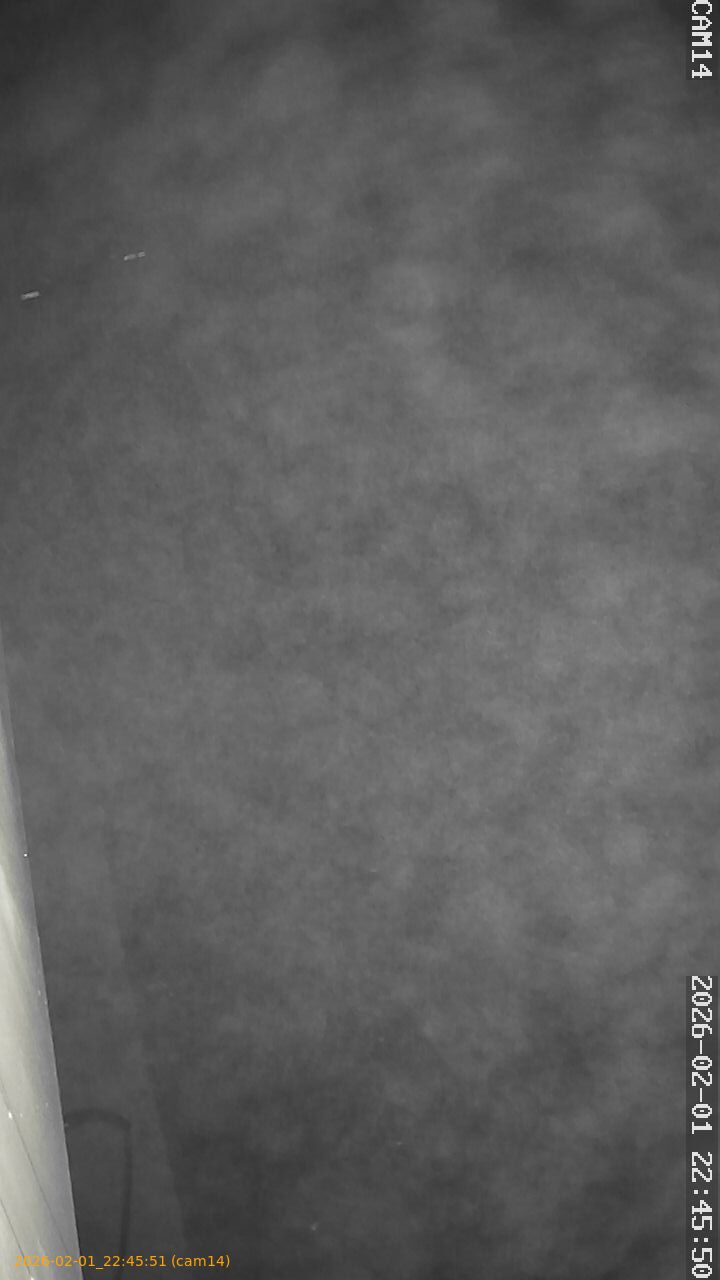 thumbnail_20260201224551