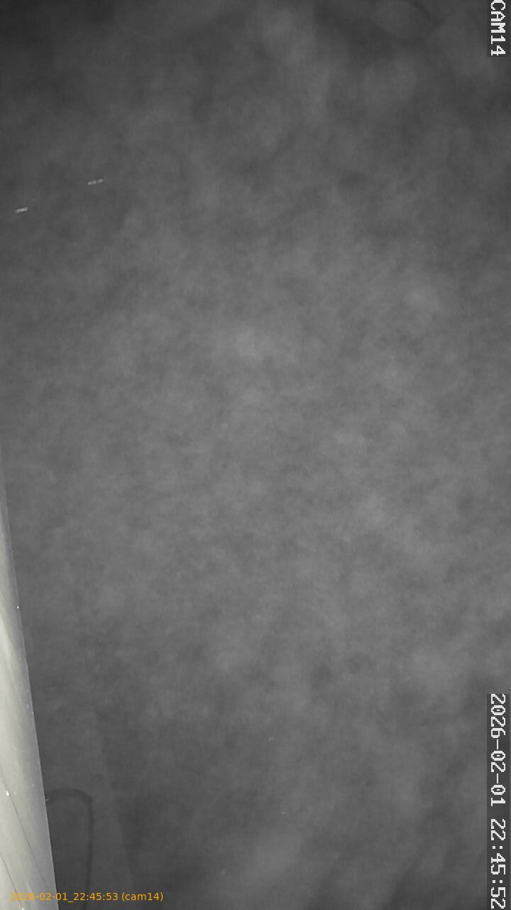 thumbnail_20260201224553