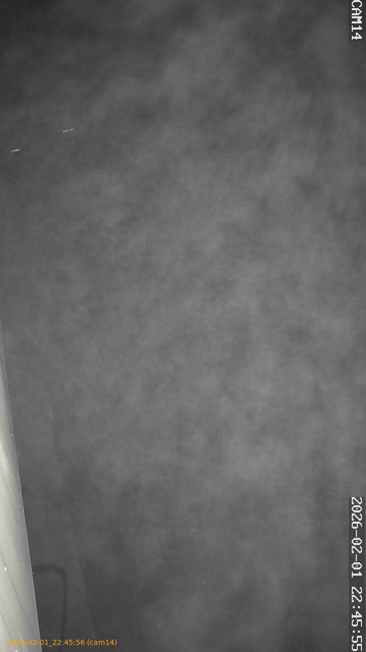 thumbnail_20260201224556