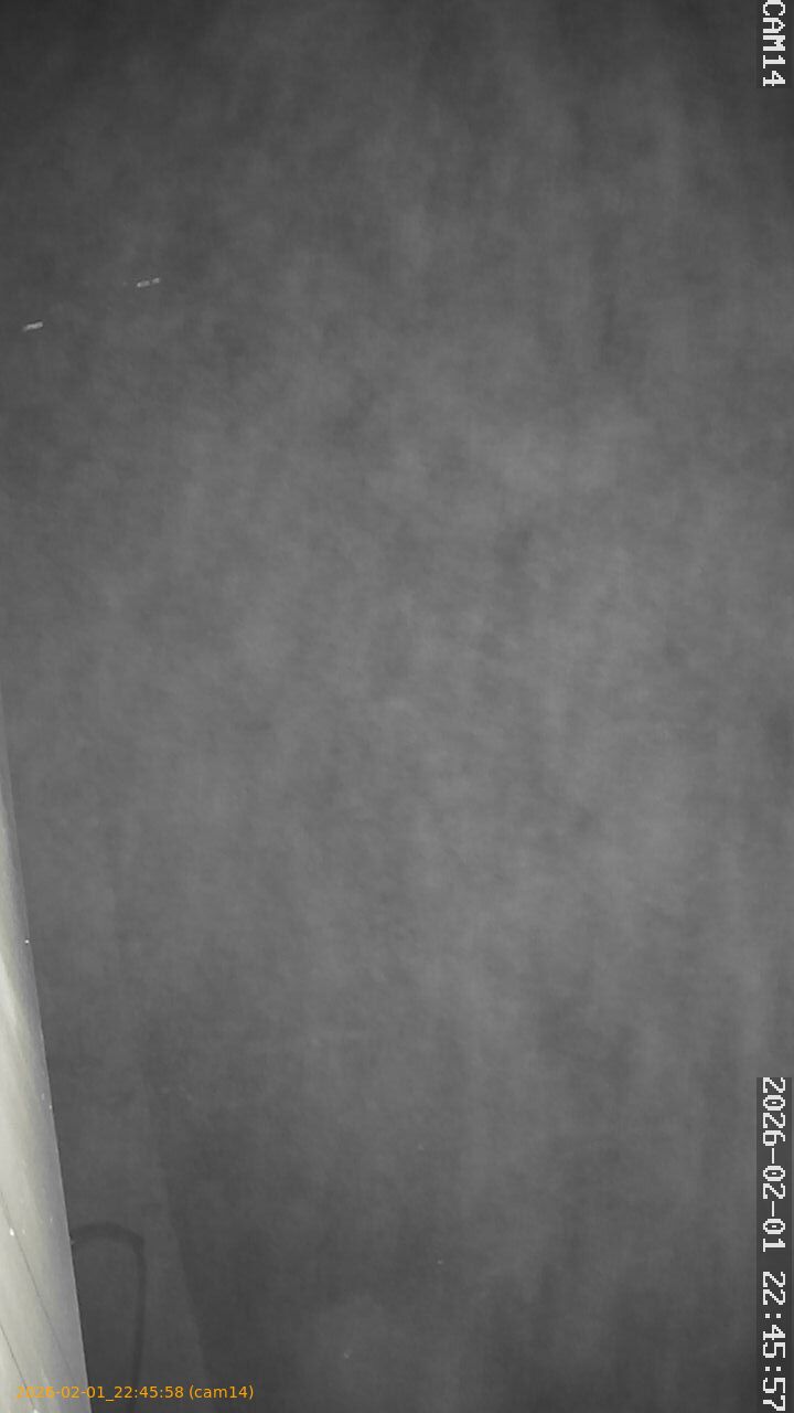 thumbnail_20260201224558