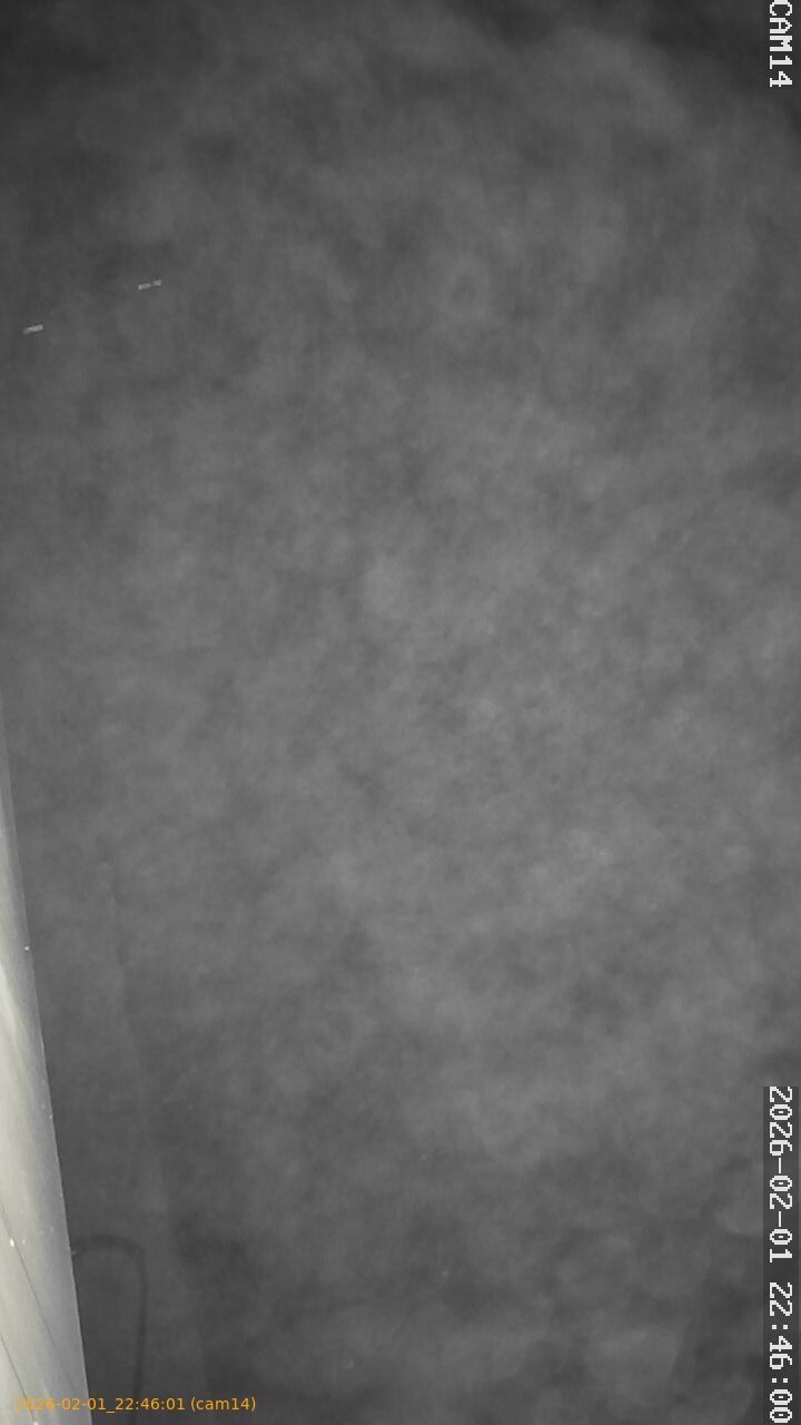 thumbnail_20260201224601