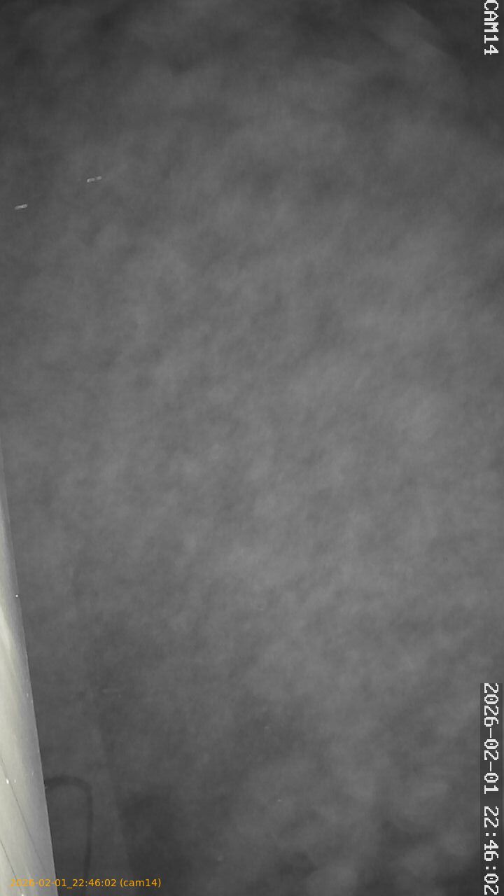 thumbnail_20260201224602