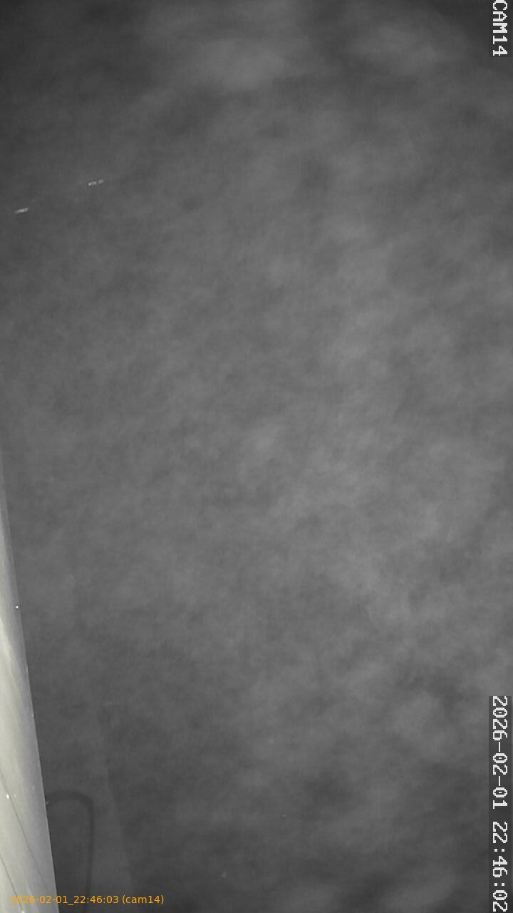 thumbnail_20260201224603