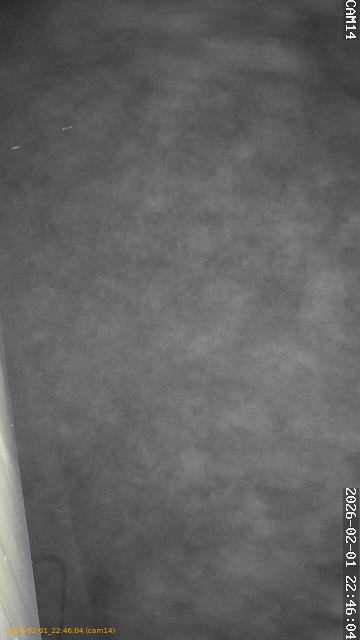 thumbnail_20260201224604