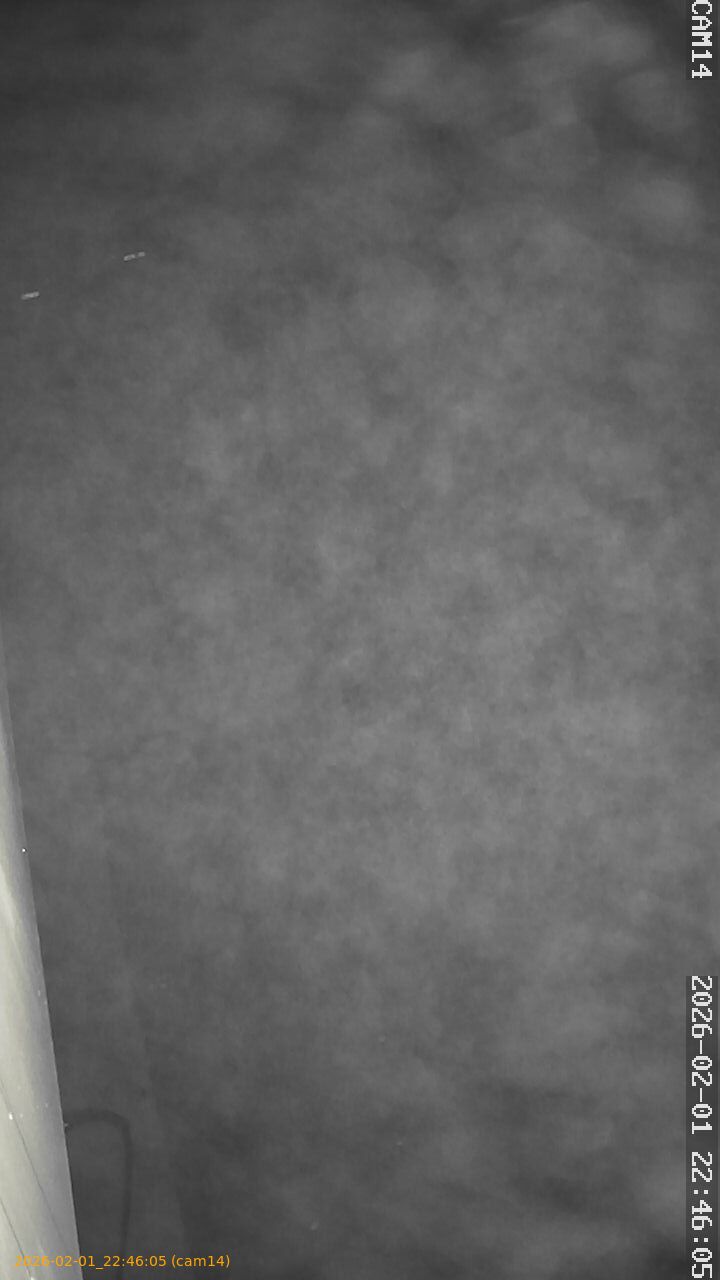 thumbnail_20260201224605