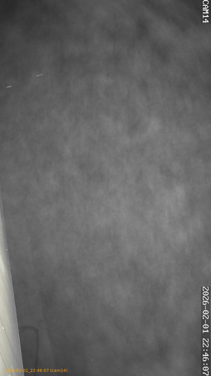 thumbnail_20260201224607