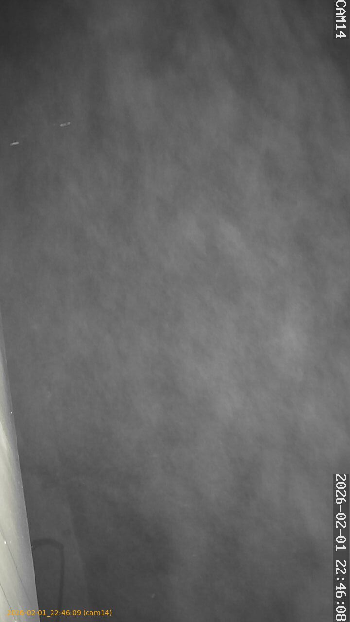 thumbnail_20260201224609