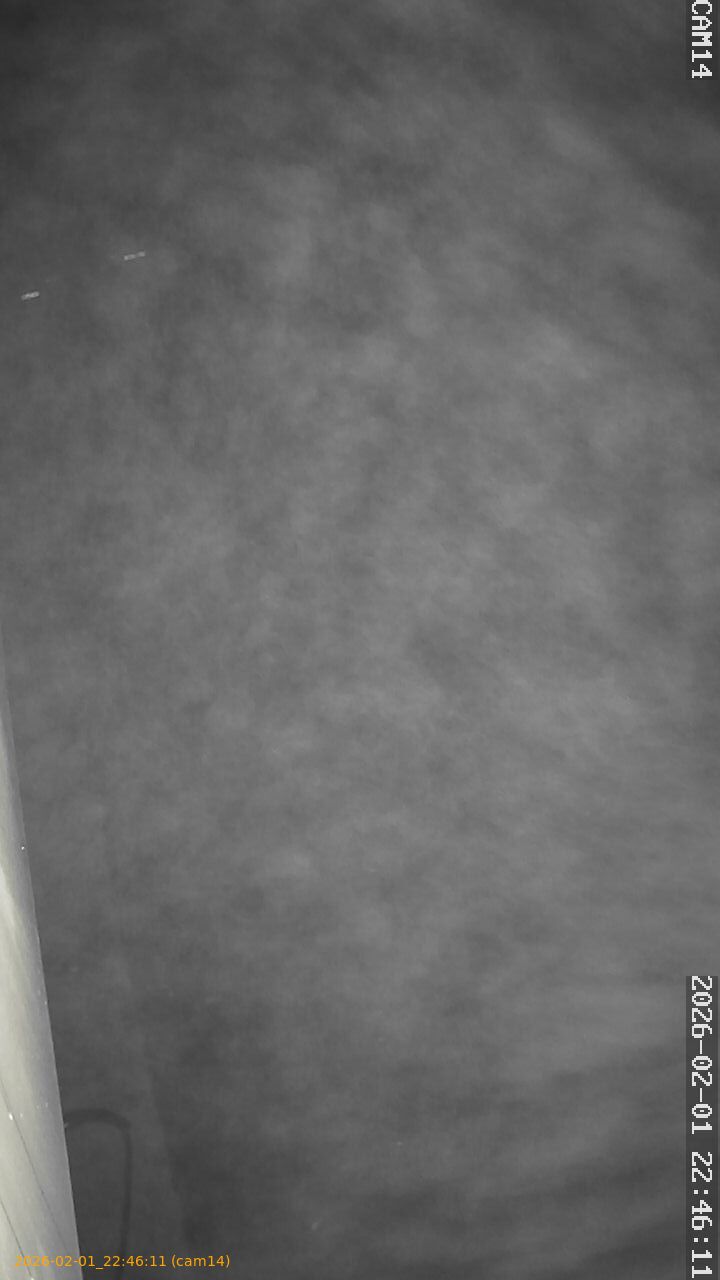 thumbnail_20260201224611