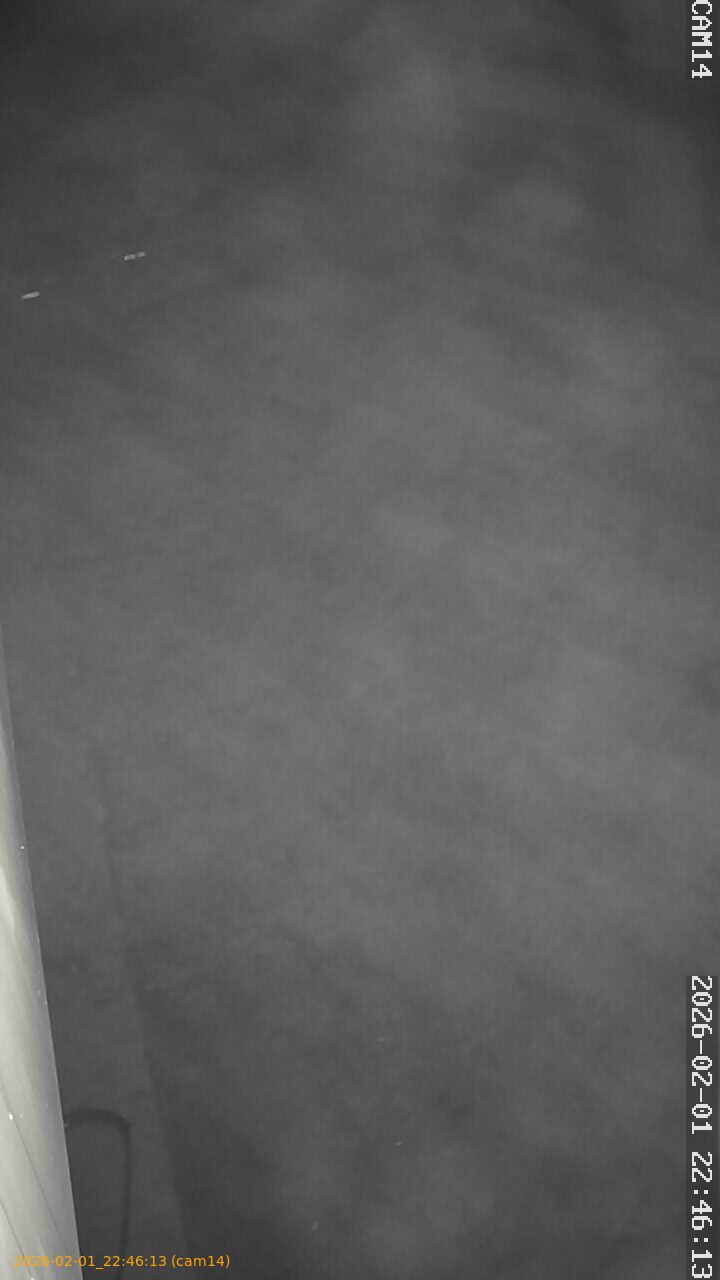 thumbnail_20260201224613