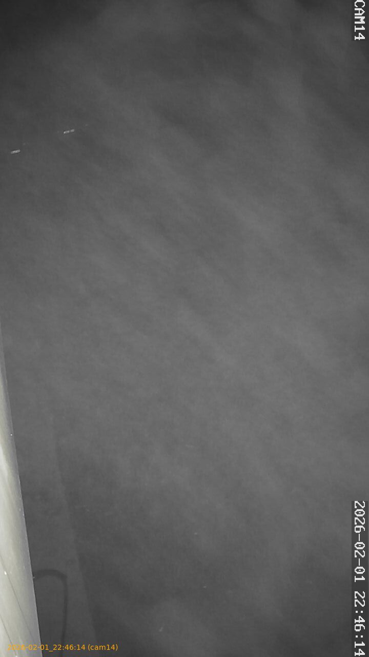 thumbnail_20260201224614