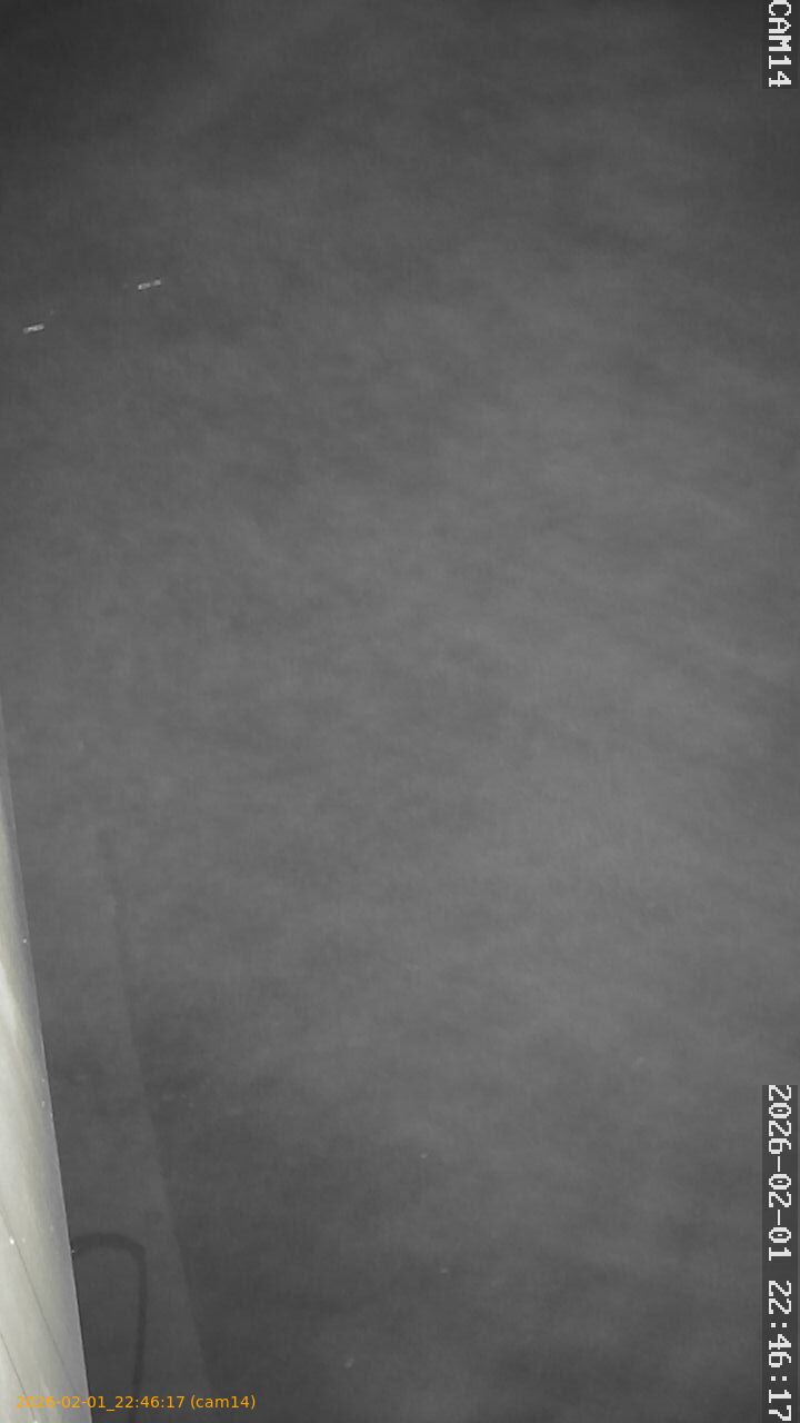 thumbnail_20260201224617