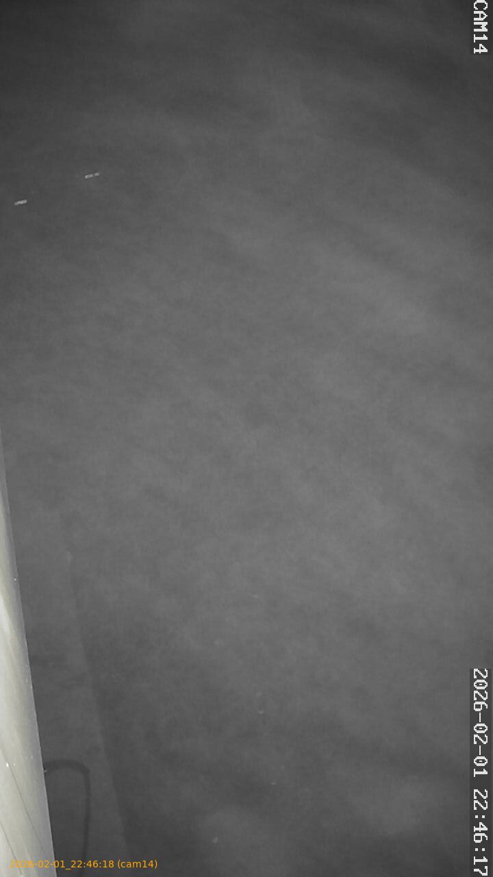 thumbnail_20260201224618