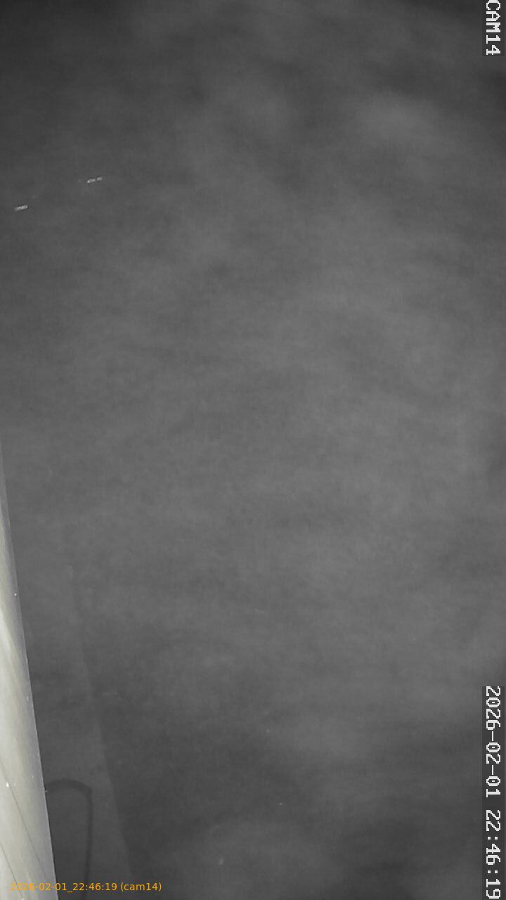 thumbnail_20260201224619