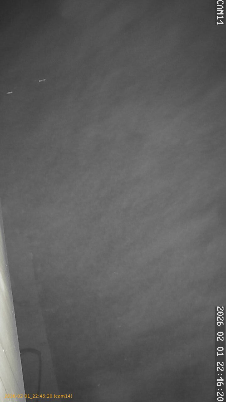 thumbnail_20260201224620