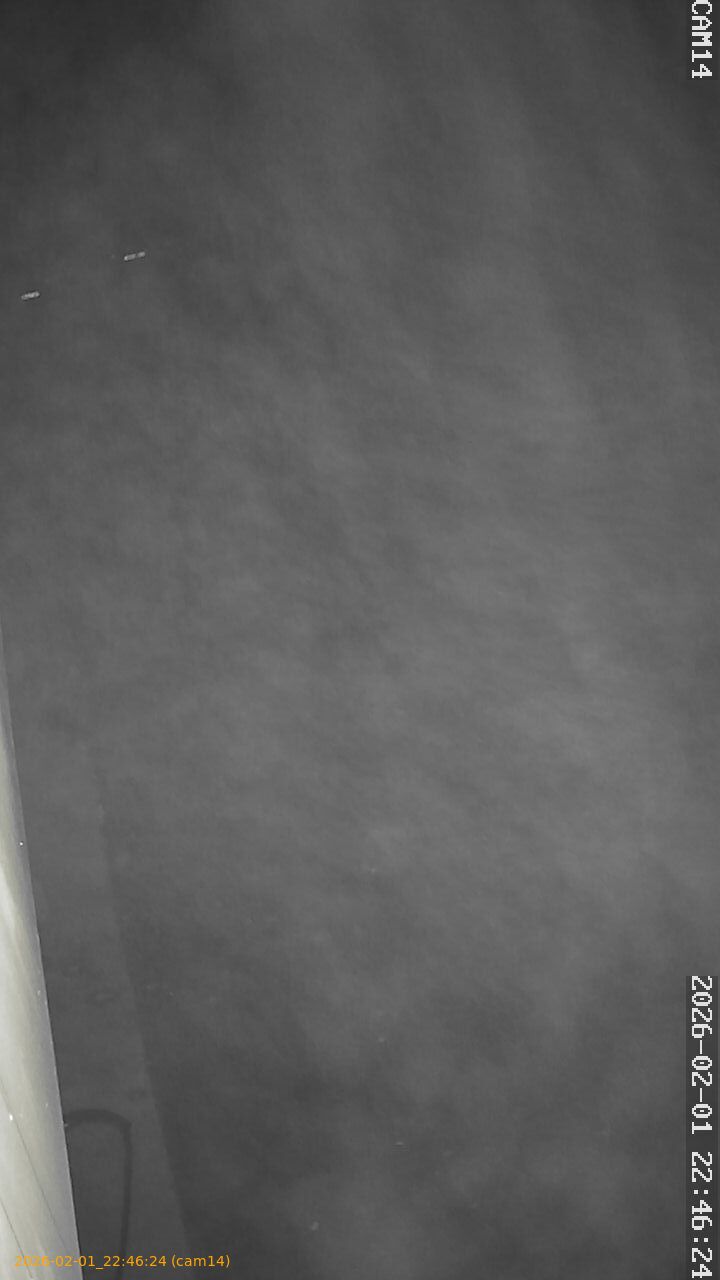 thumbnail_20260201224624