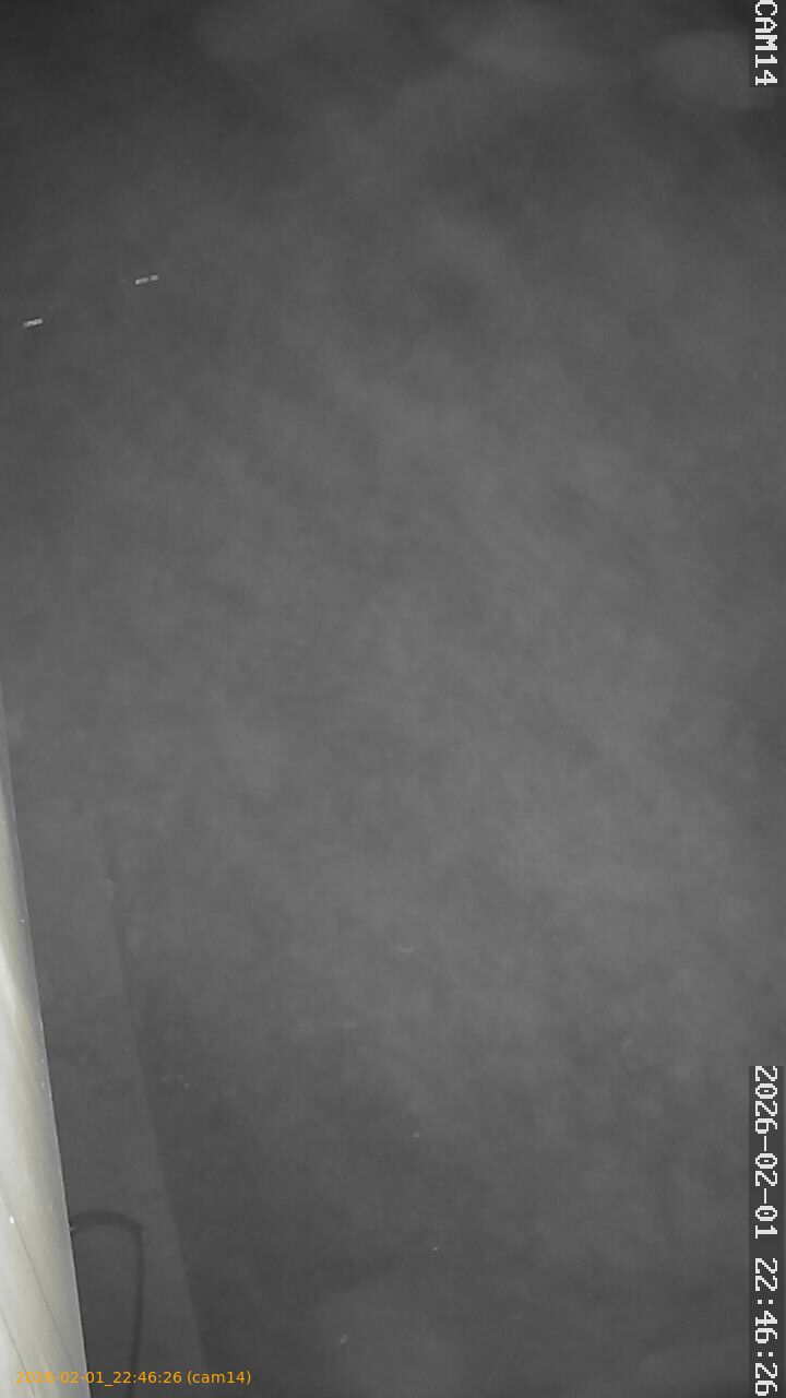 thumbnail_20260201224626