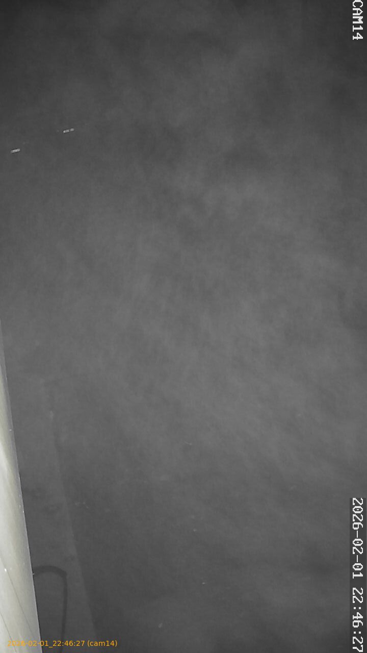 thumbnail_20260201224627