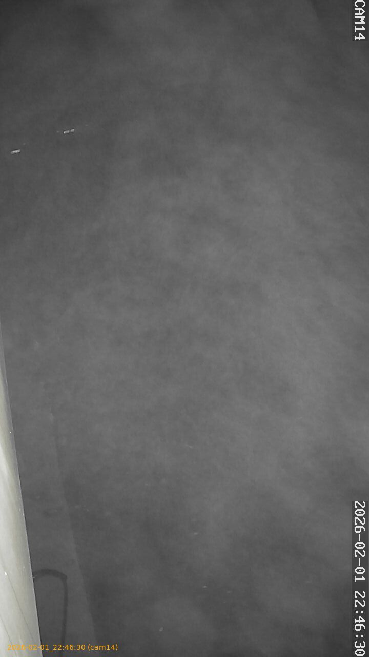 thumbnail_20260201224630