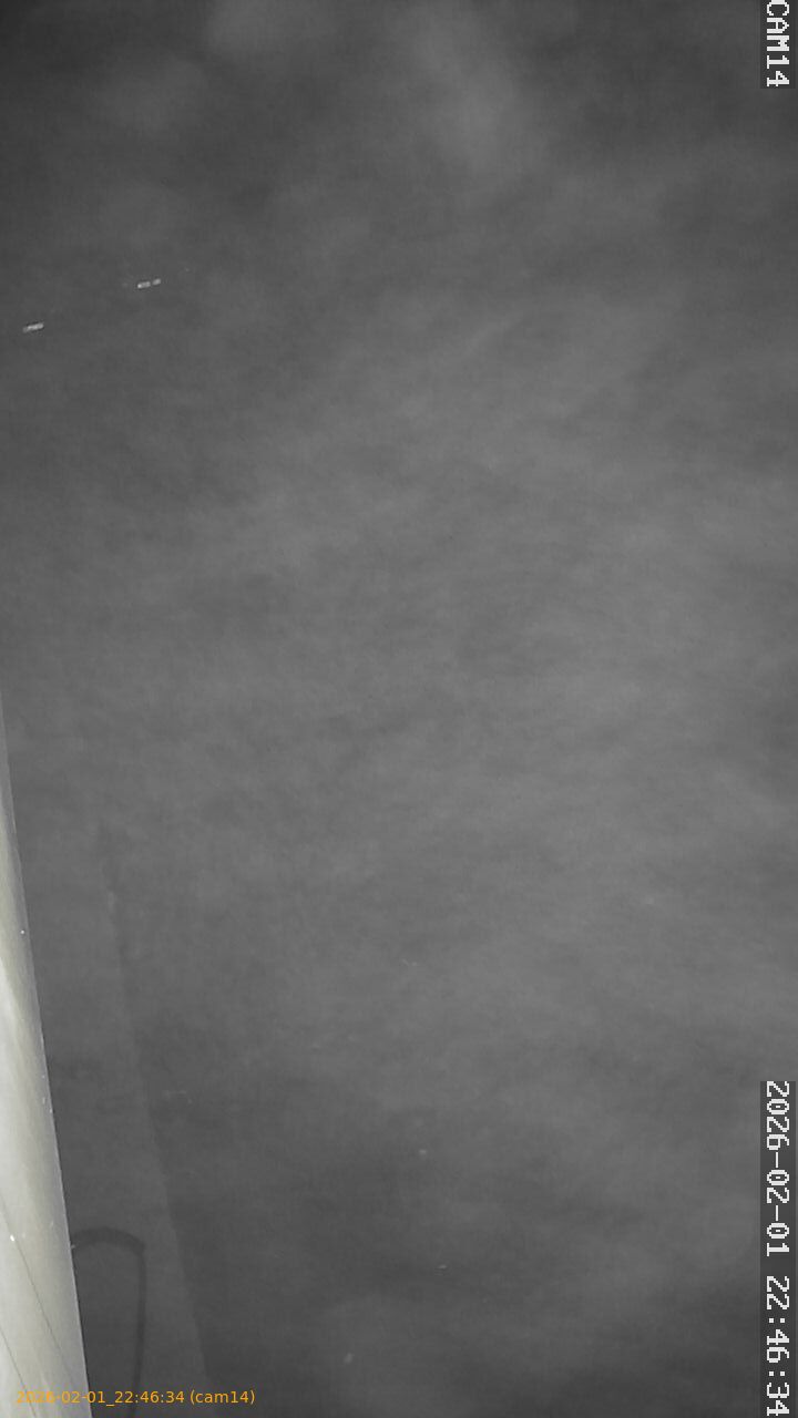 thumbnail_20260201224634