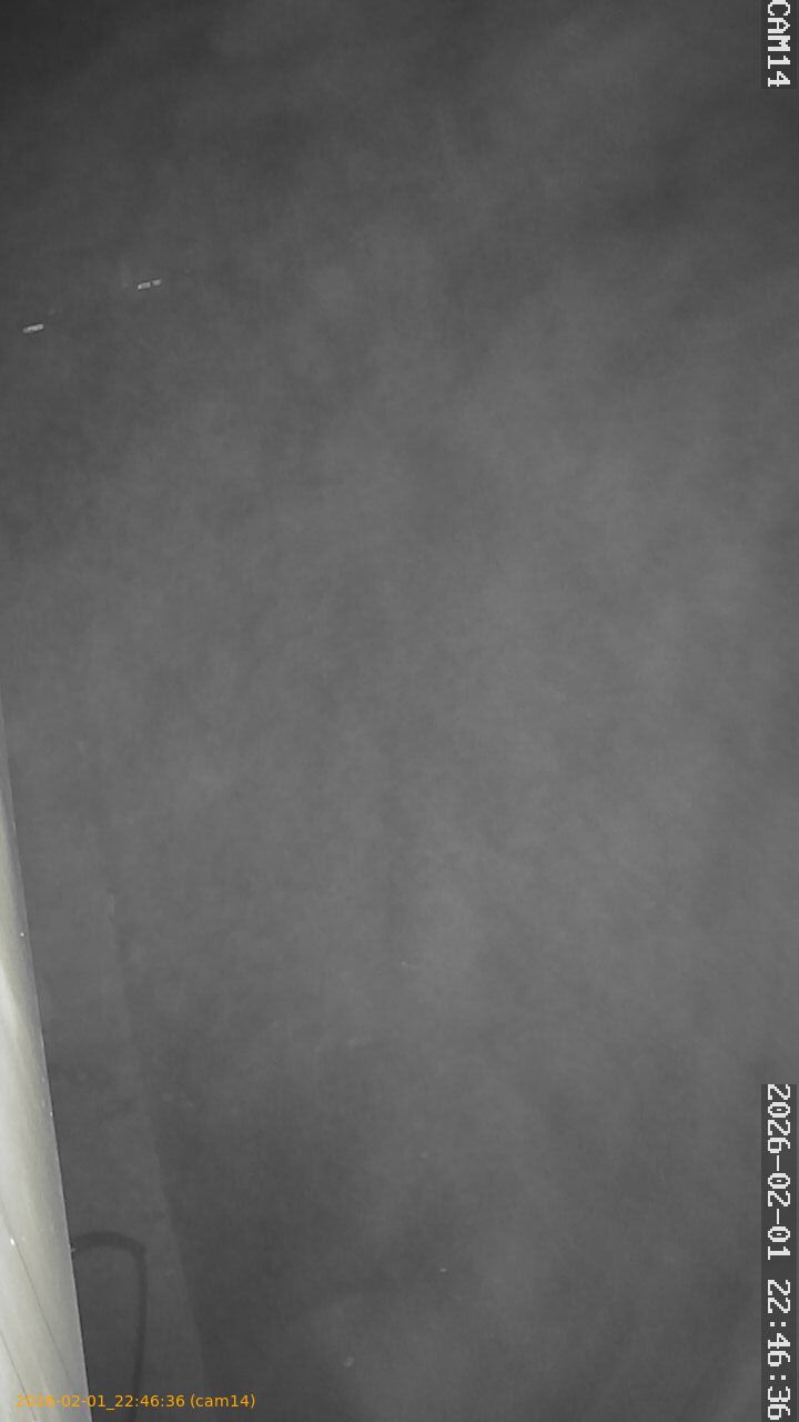 thumbnail_20260201224636