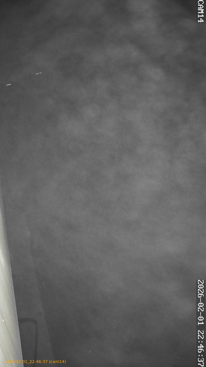 thumbnail_20260201224637