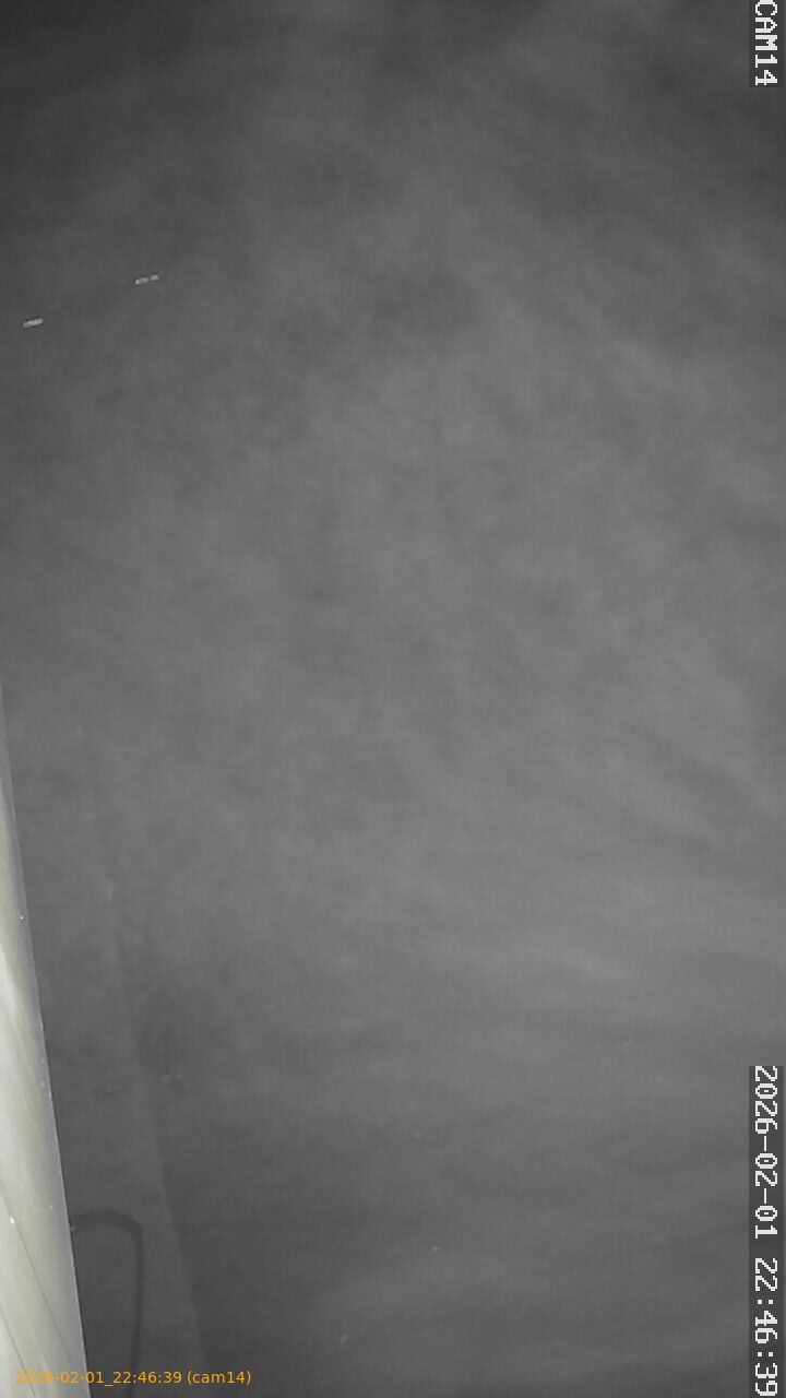 thumbnail_20260201224639