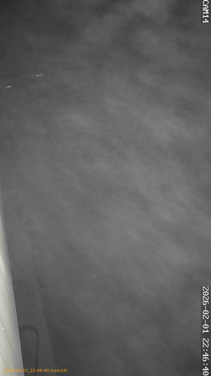 thumbnail_20260201224640