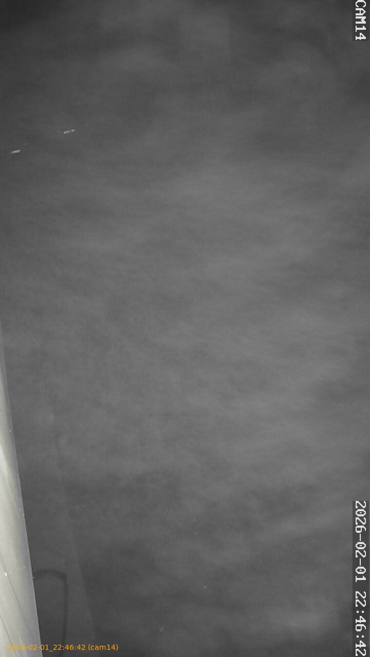 thumbnail_20260201224642