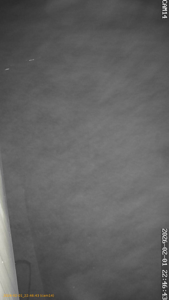 thumbnail_20260201224643