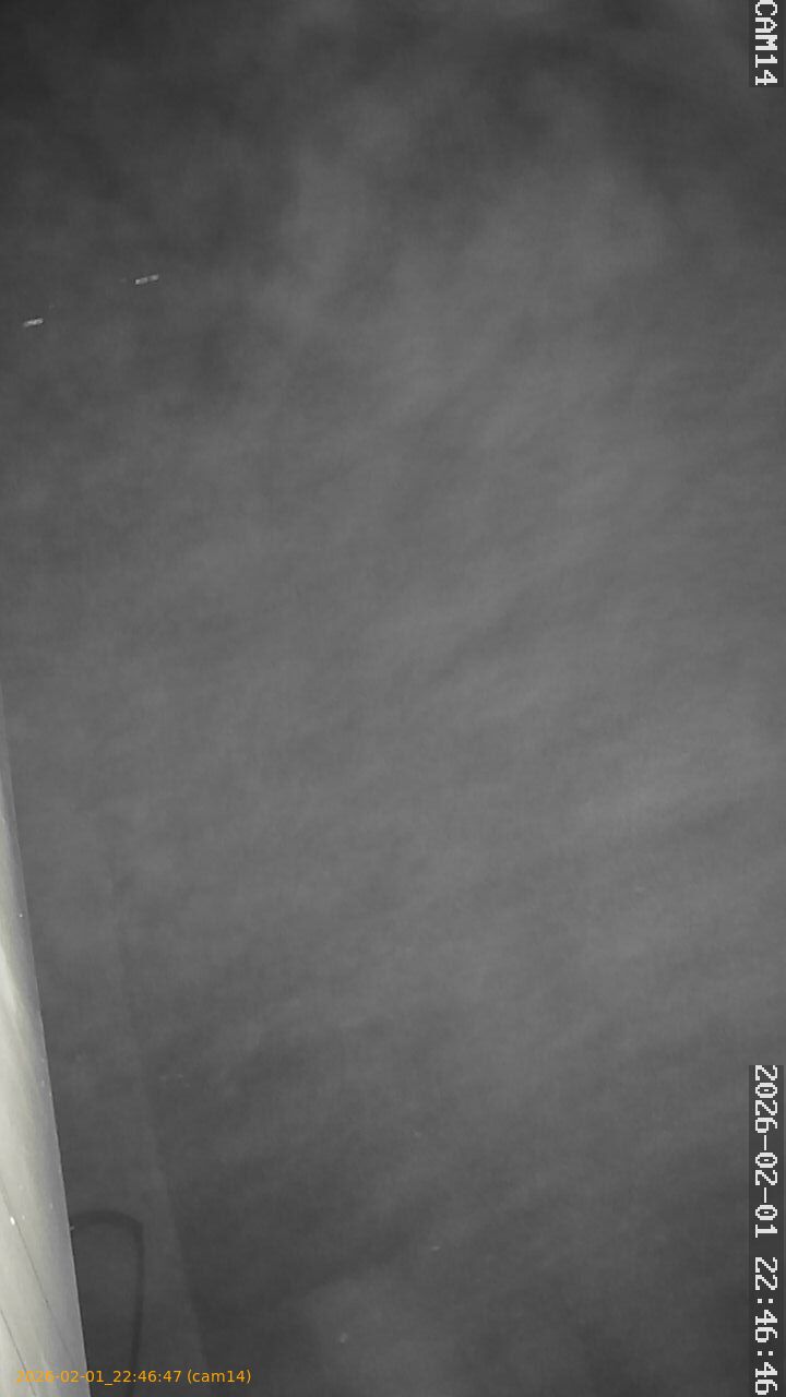 thumbnail_20260201224646