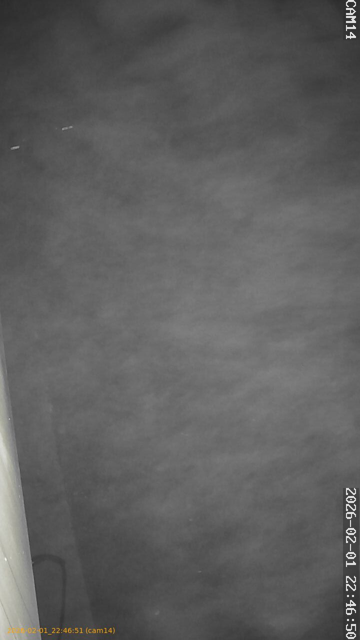 thumbnail_20260201224651