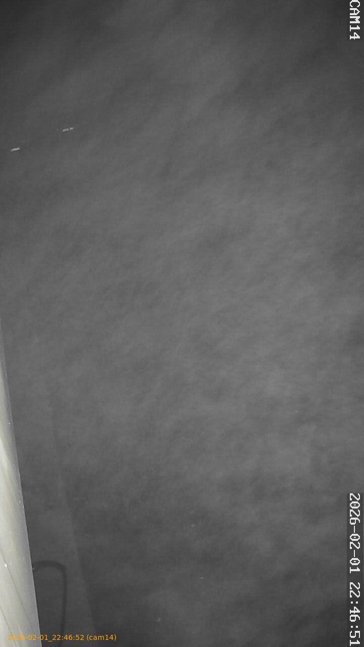 thumbnail_20260201224652