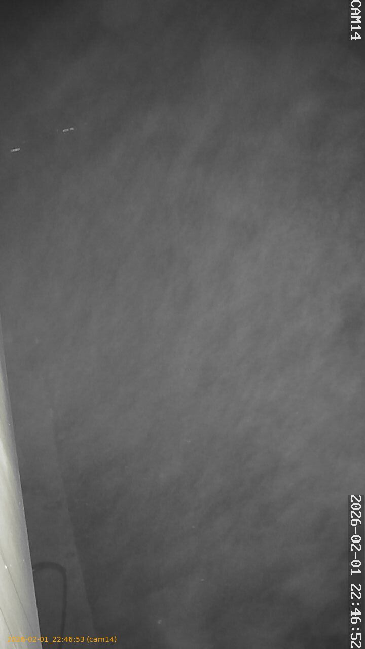 thumbnail_20260201224653