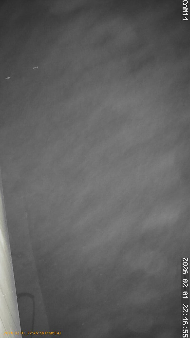 thumbnail_20260201224656