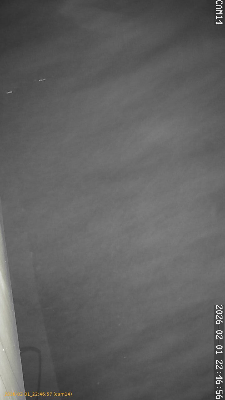 thumbnail_20260201224657