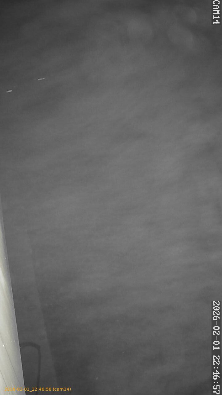 thumbnail_20260201224658