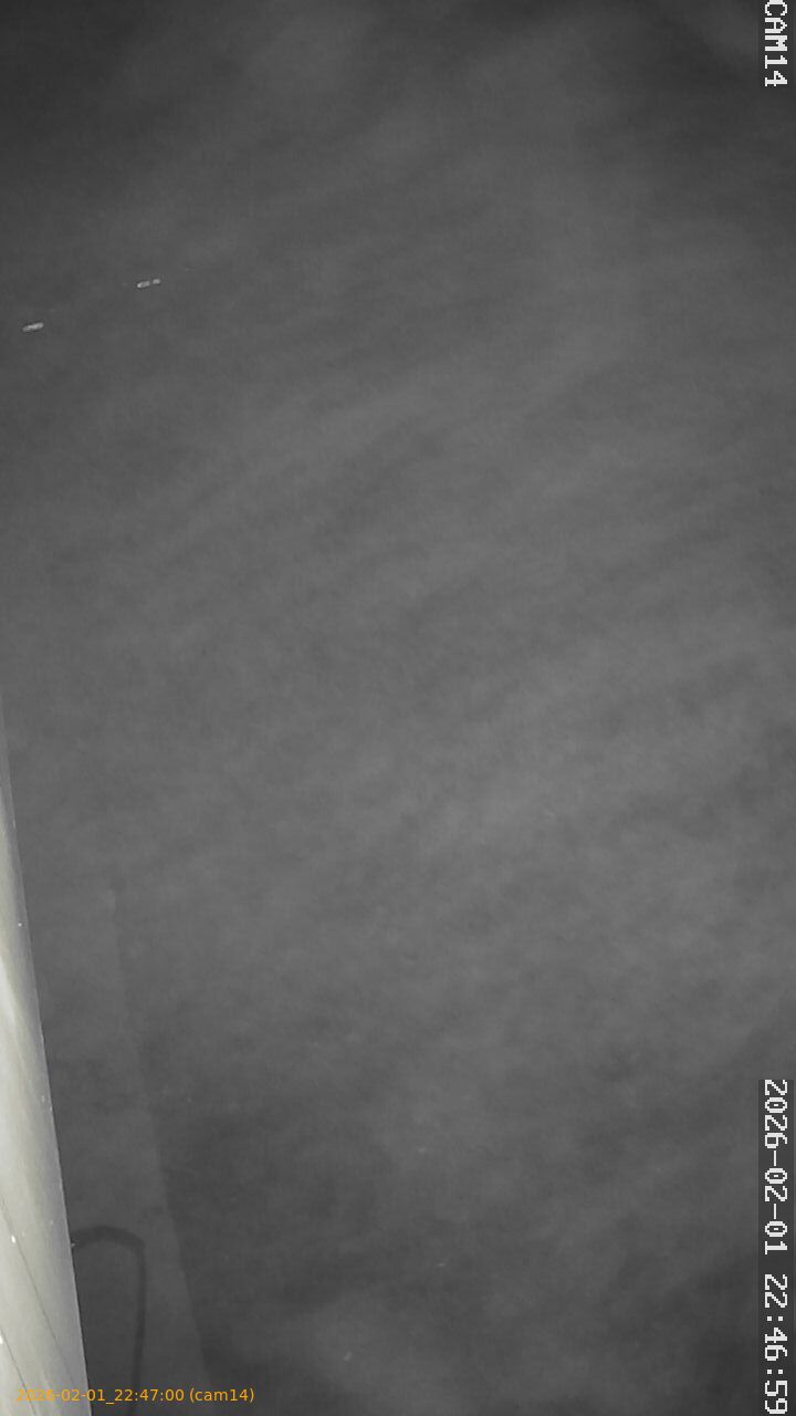 thumbnail_20260201224700