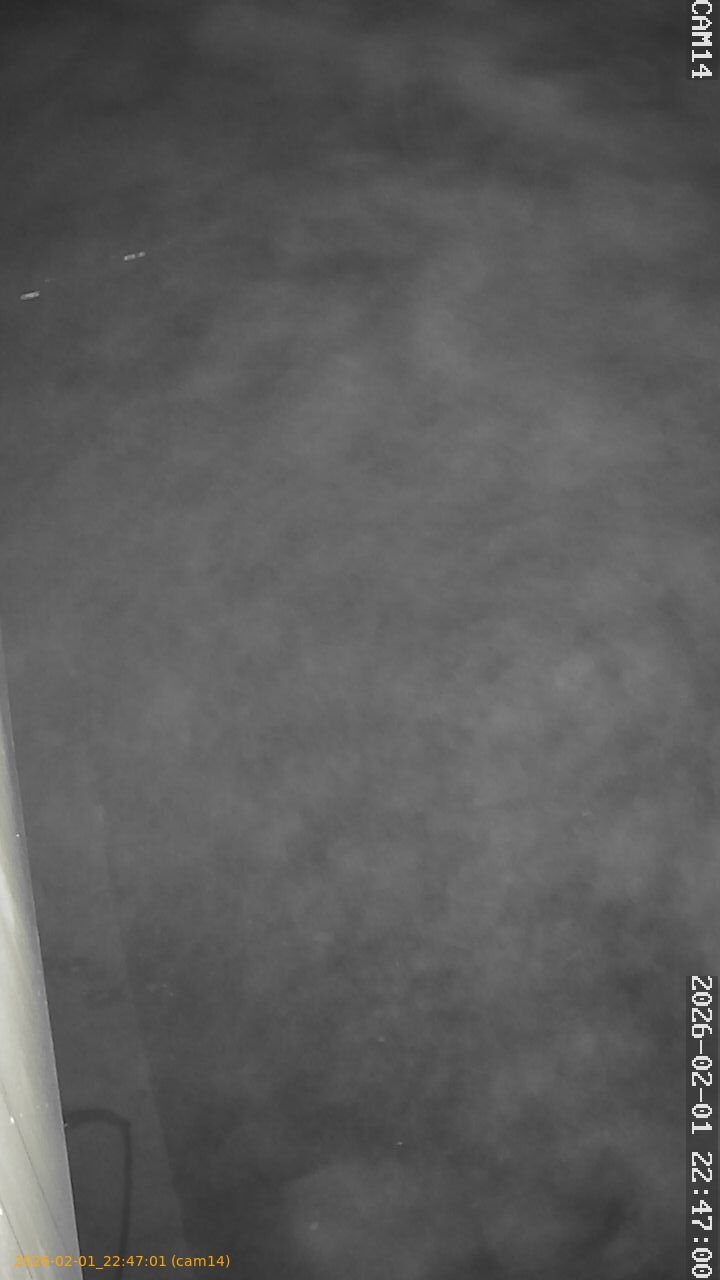 thumbnail_20260201224701