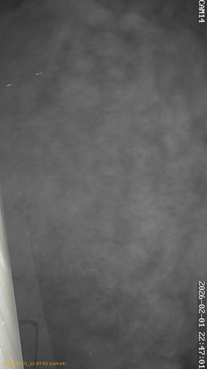 thumbnail_20260201224702