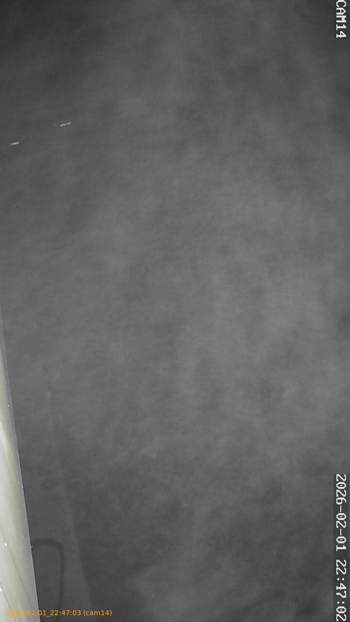 thumbnail_20260201224703