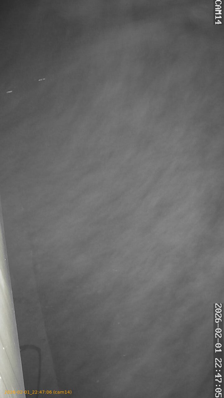 thumbnail_20260201224706