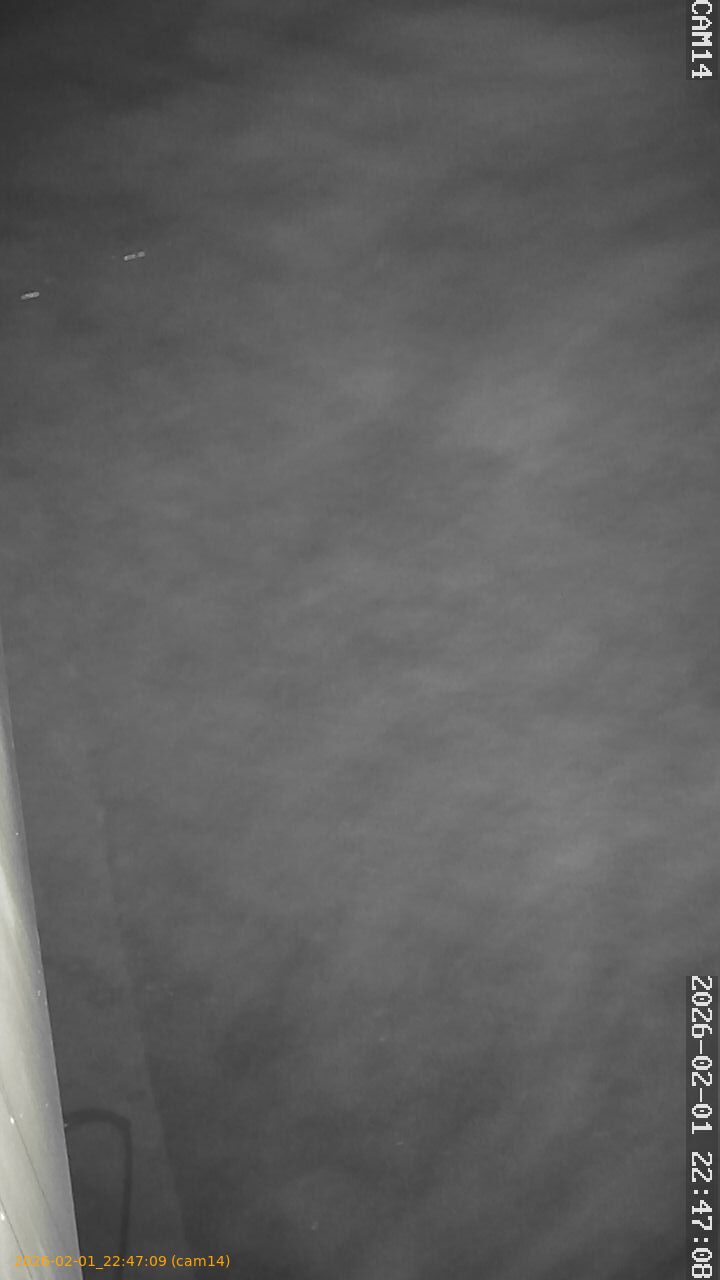 thumbnail_20260201224709