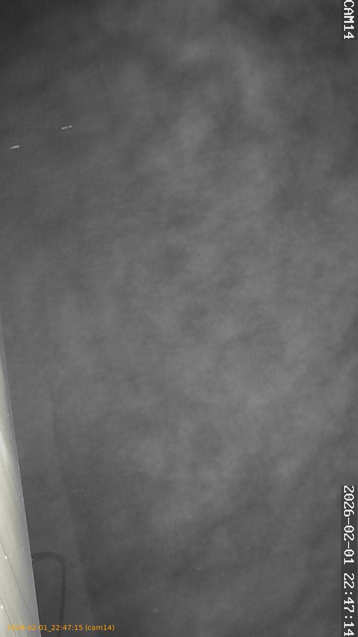 thumbnail_20260201224715