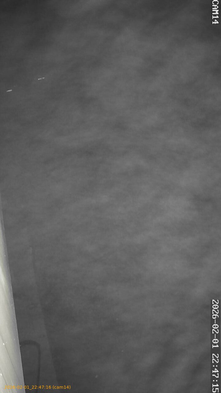 thumbnail_20260201224716